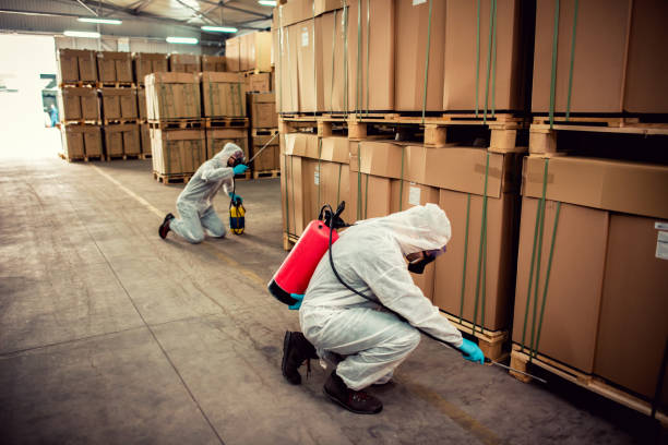 Best Pest Control Near Me in Brunswick, NC