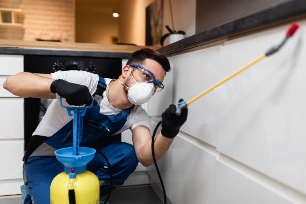 Best Pest Control Near Me in Brunswick, NC