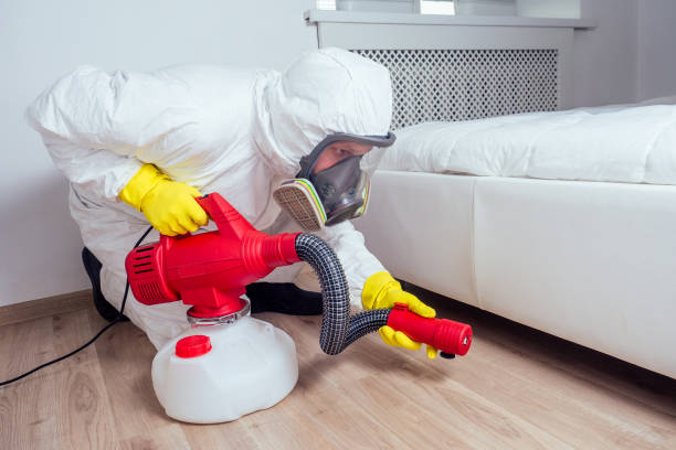 Best Affordable Pest Control Services  in Brunswick, NC