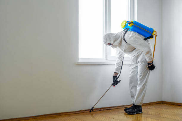 Best Insect Control  in Brunswick, NC