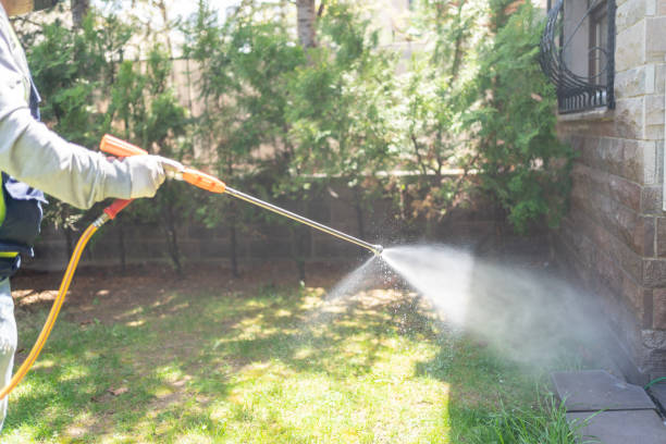 Best Rat Extermination Near Me  in Brunswick, NC