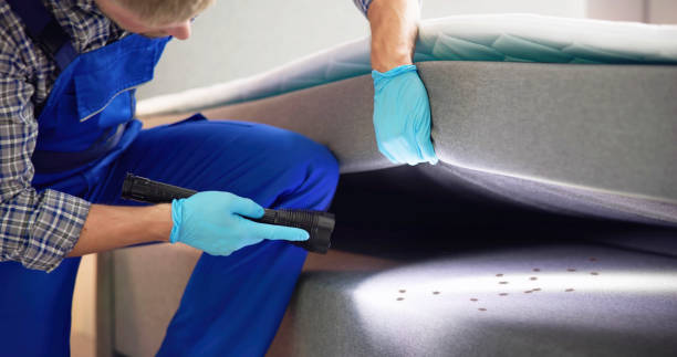 Best Ant Control Services  in Brunswick, NC