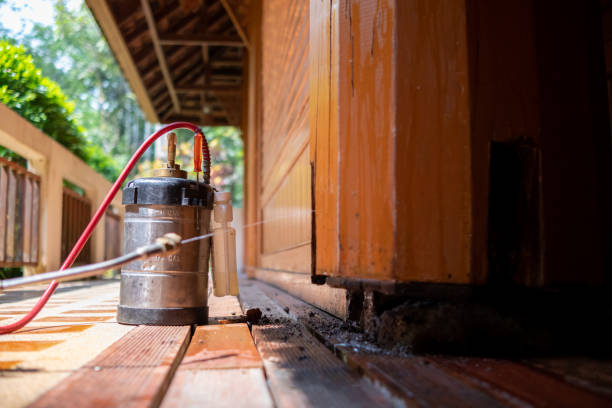 Best Exterminator Services  in Brunswick, NC