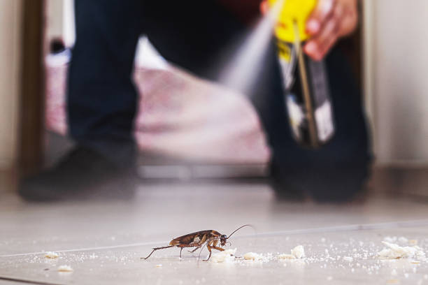 Best Best Pest Control Companies  in Brunswick, NC