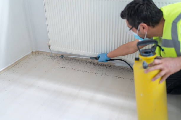 Best Pest Inspection Near Me  in Brunswick, NC